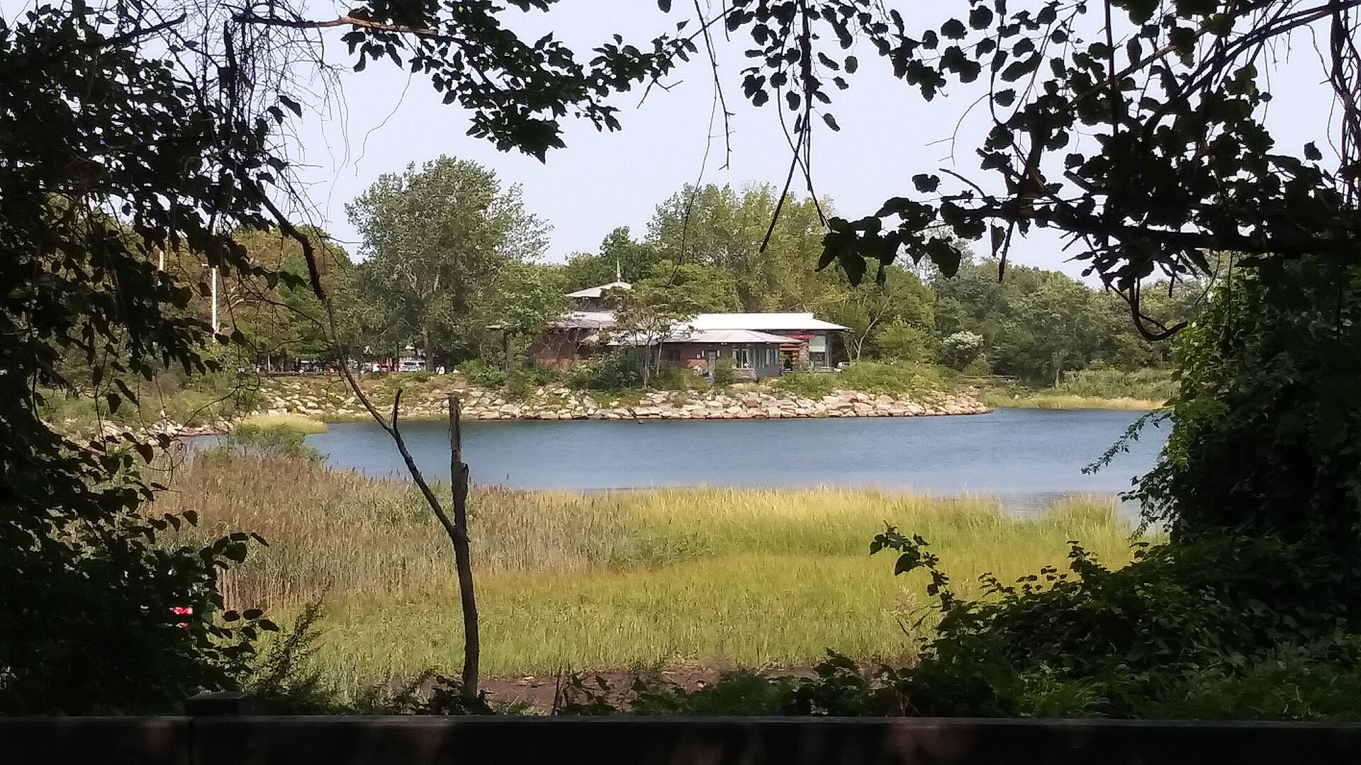 Salt Marsh Landscapes